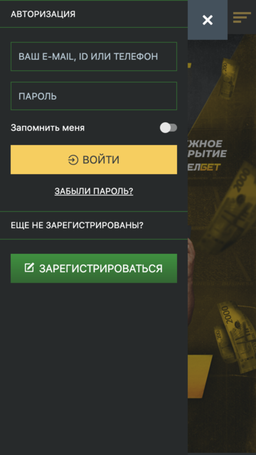 Registration and login in the mobile version